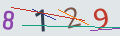 verifycode